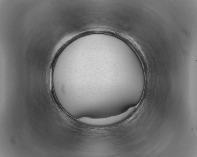 X0000114441175200911061657