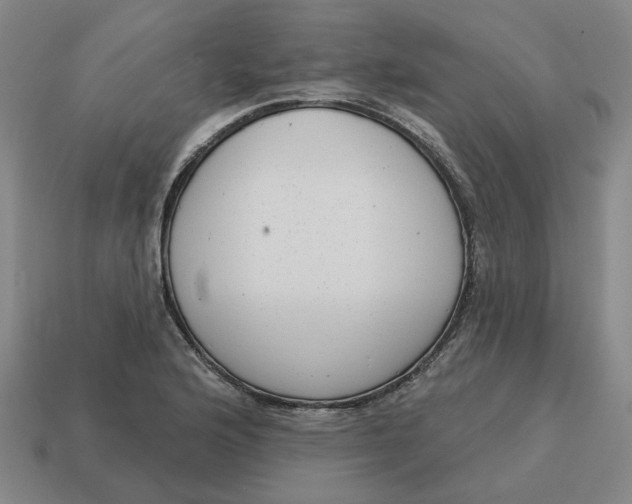 X0000114441176200911061657