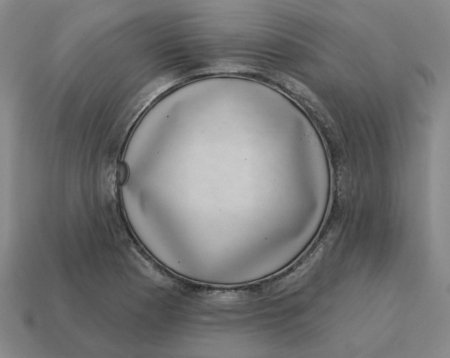 X0000114441177200911061657