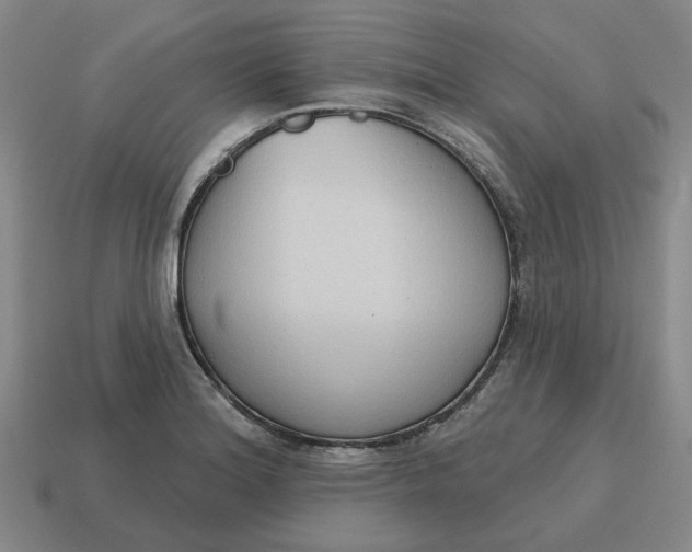 X0000114441180200911061657