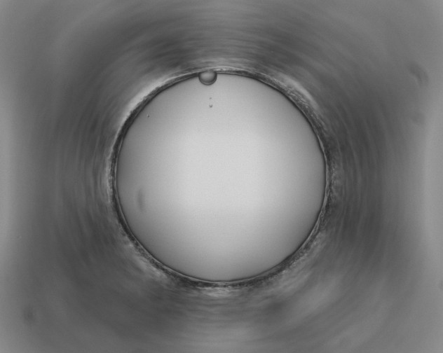 X0000114441182200911061657