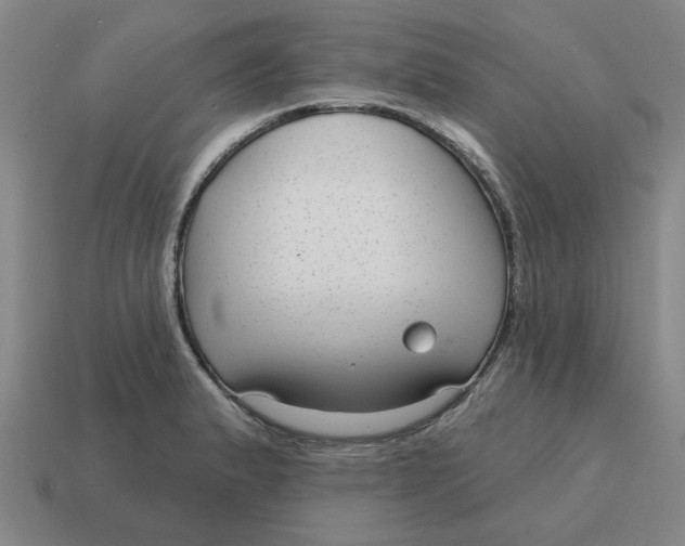 X0000114441183200911061657