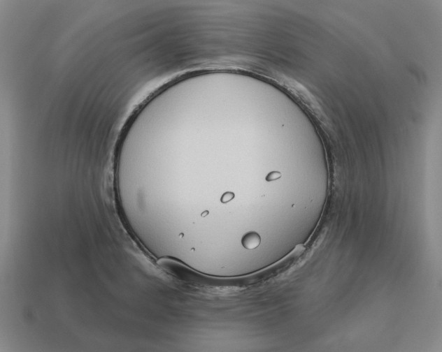 X0000114441184200911061657