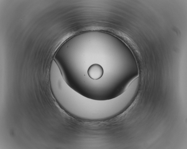 X0000114441185200911061657