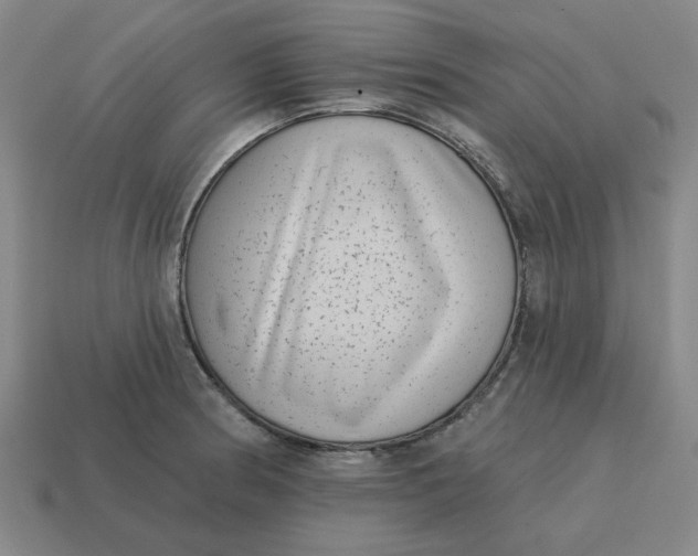 X0000114441186200911061657