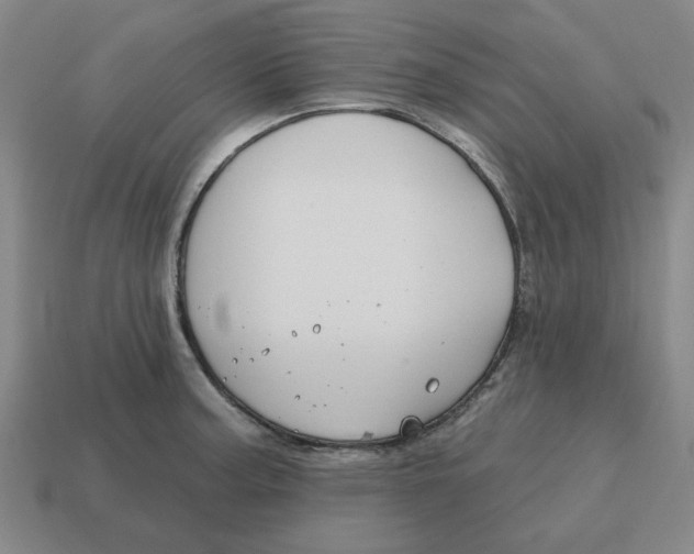 X0000114441187200911061657