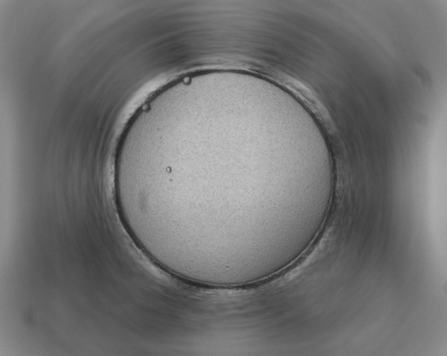 X0000114441188200911061657