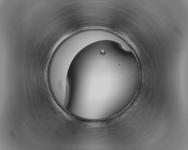 X0000114441189200911061657