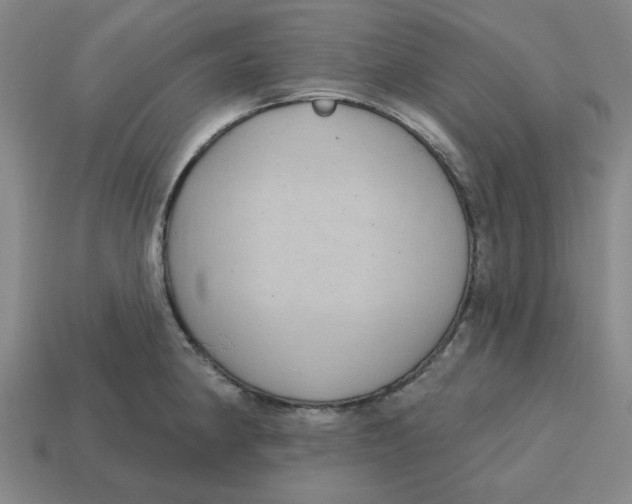 X0000114441190200911061657