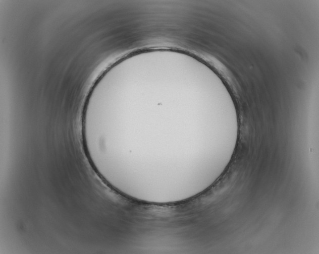 X0000114441191200911061657