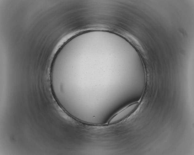 X0000114441192200911061657