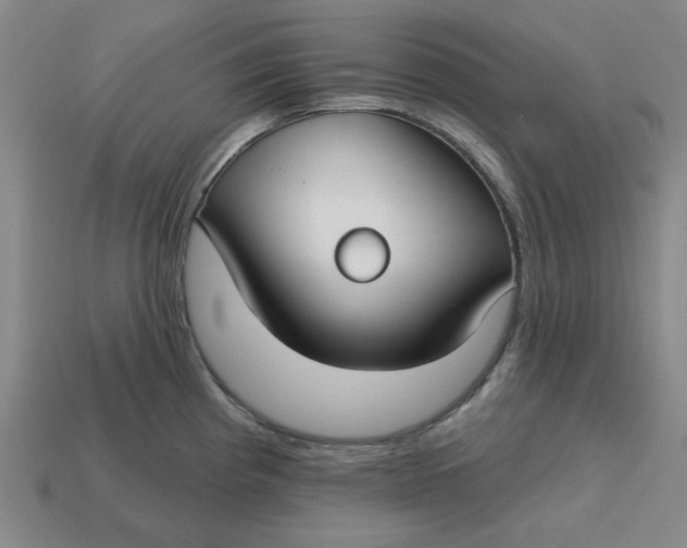 X0000114441193200911061657