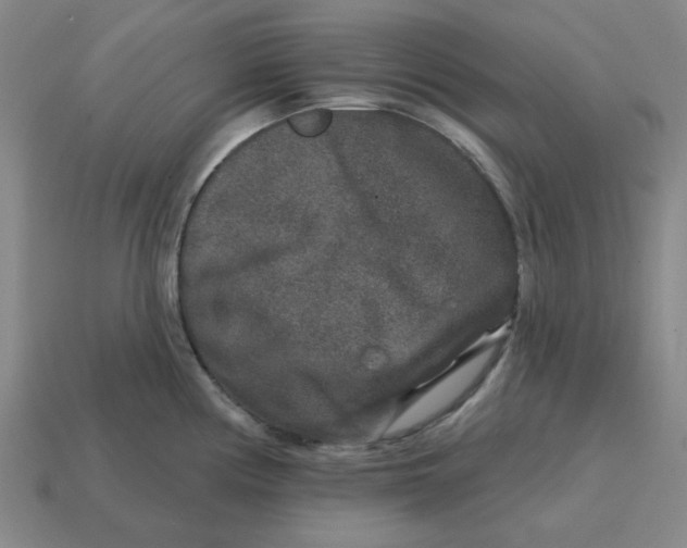 X0000114441194200911061657