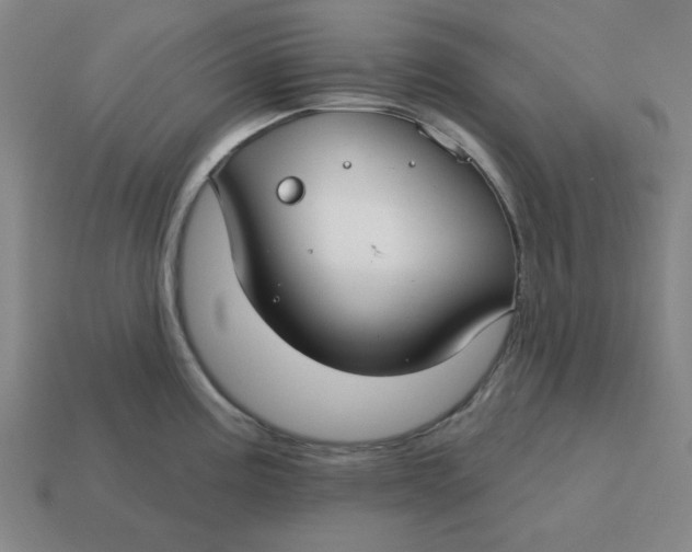 X0000114441195200911061657