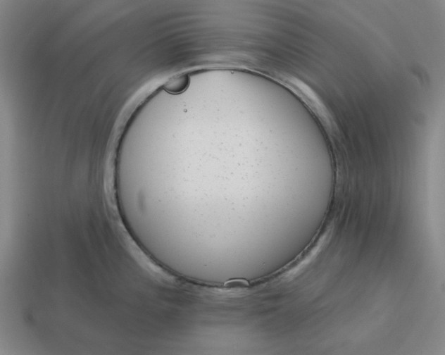 X0000114441196200911061657