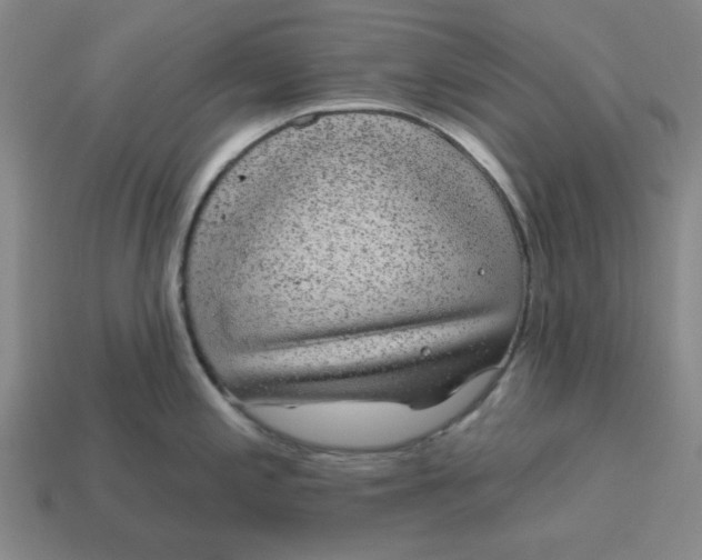 X0000114441197200911061657