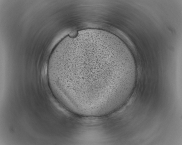 X0000114441198200911061657