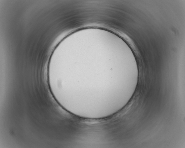 X0000114441199200911061657