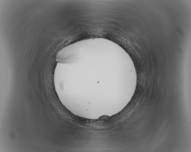 X0000114441201200911061656