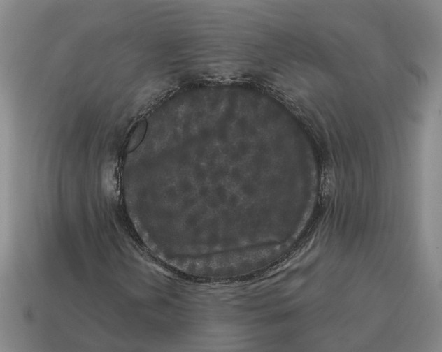 X0000114441202200911061656