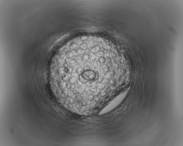 X0000114441205200911061656