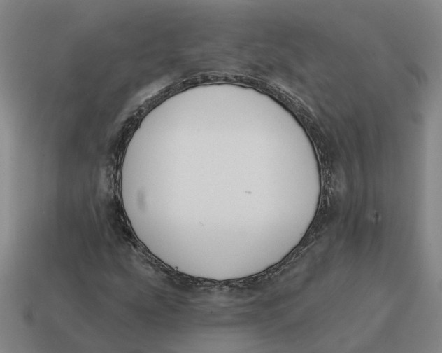 X0000114441207200911061656