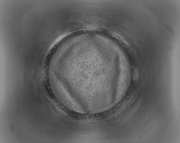 X0000114441208200911061656