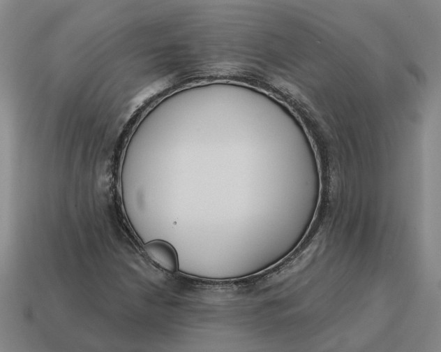 X0000114441210200911061656