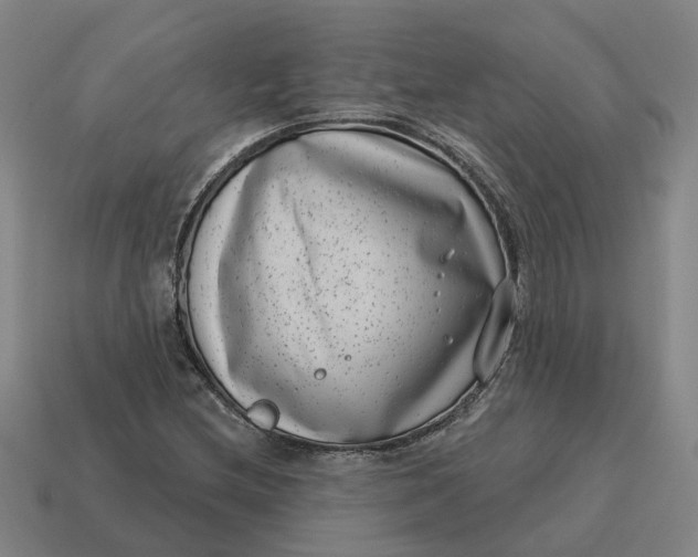 X0000114441212200911061656