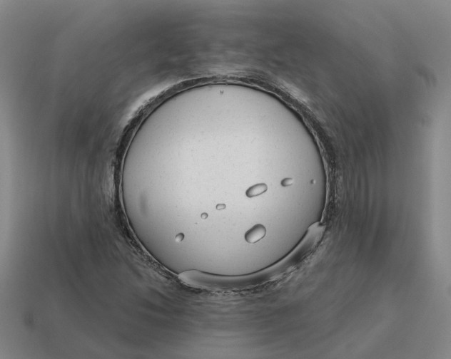 X0000114441214200911061656