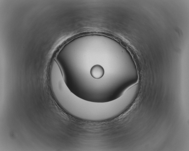 X0000114441215200911061656