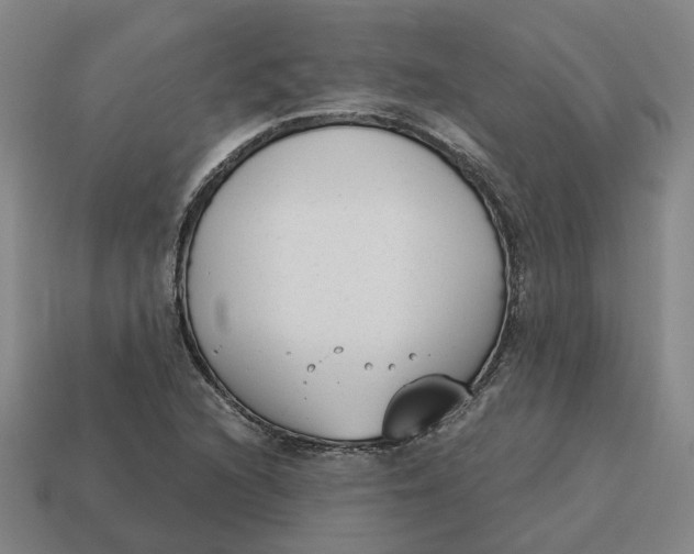 X0000114441216200911061656