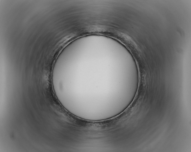 X0000114441217200911061657