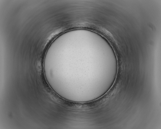 X0000114441218200911061657