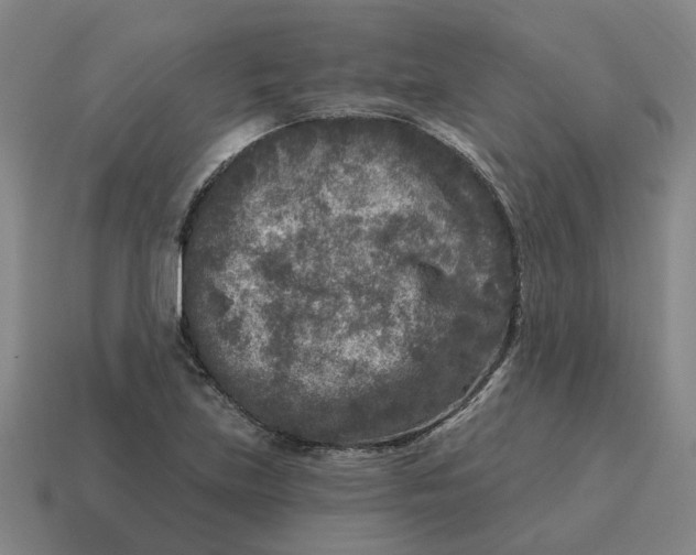 X0000114441219200911061657