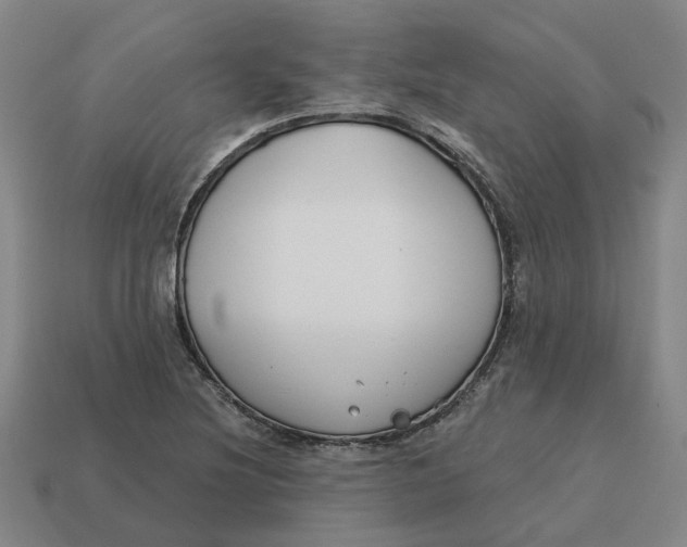 X0000114441220200911061657