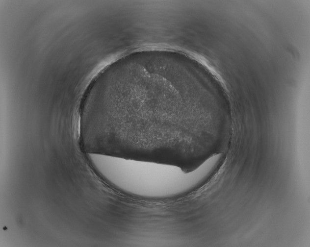 X0000114441221200911061657