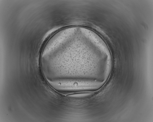 X0000114441222200911061657