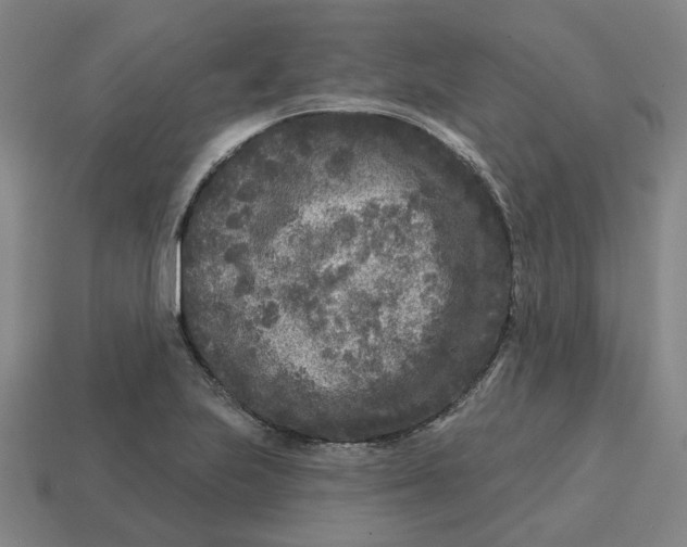 X0000114441223200911061657