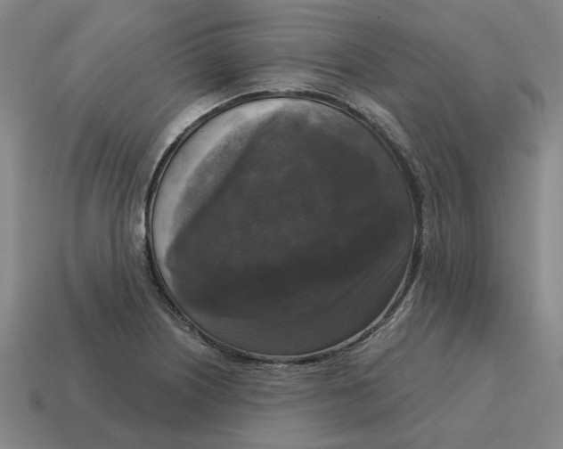 X0000114441226200911061657