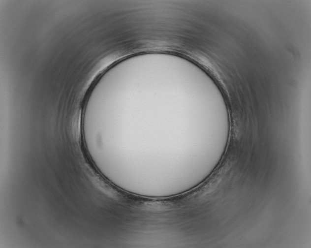 X0000114441227200911061657