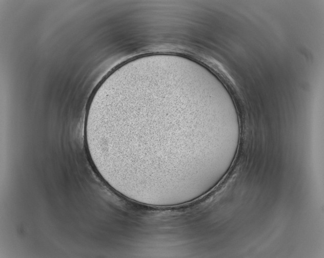 X0000114441228200911061657