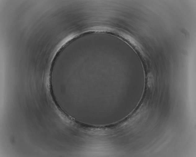 X0000114441229200911061657