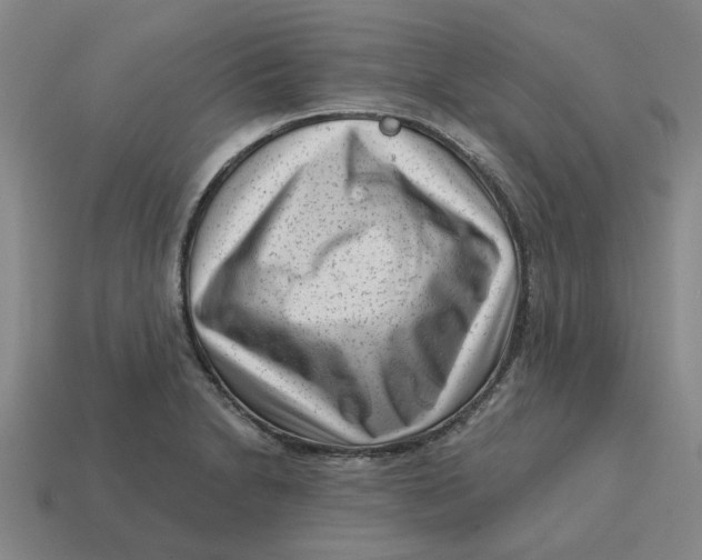 X0000114441230200911061657