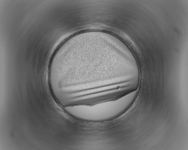 X0000114441232200911061657