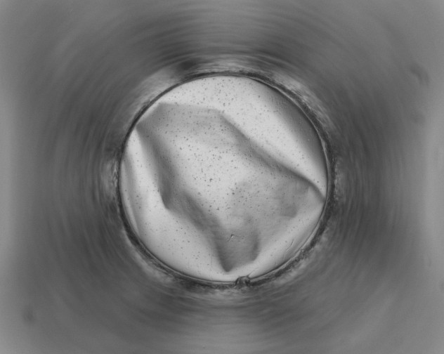 X0000114441233200911061657