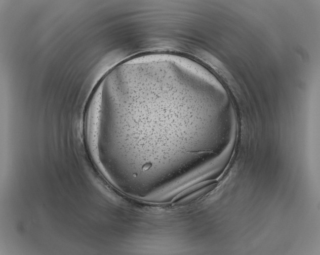 X0000114441234200911061657