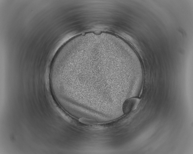 X0000114441235200911061657