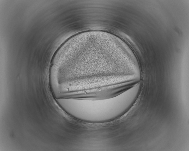 X0000114441236200911061657