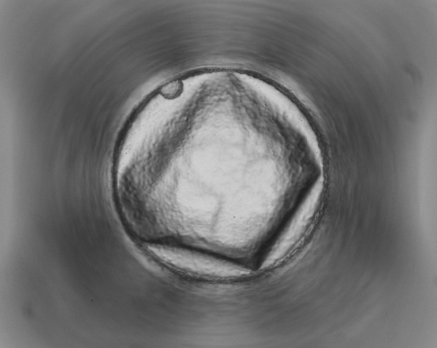 X0000114441237200911061657